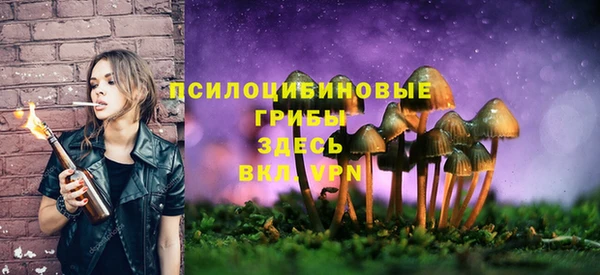 Альфа ПВП Навашино