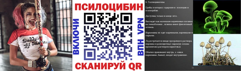 закладка  Куровское  darknet телеграм  Псилоцибиновые грибы мухоморы 